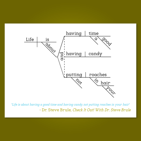 Check It Out with Dr Steve Brule copy 2