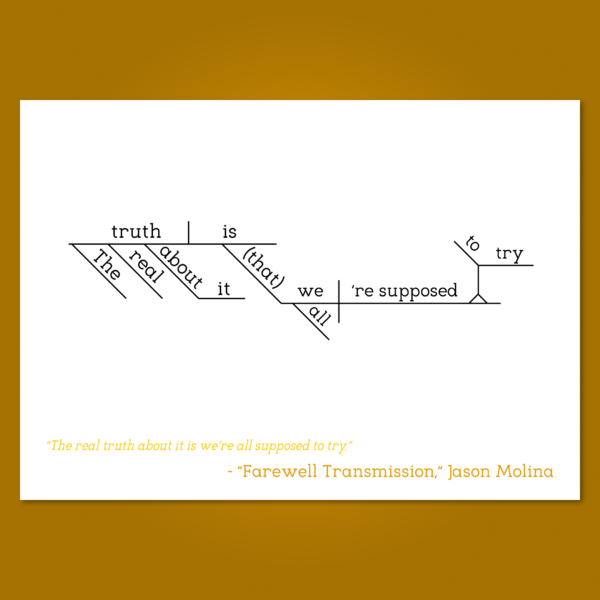 Jason Molina Farewell Transmission copy 2